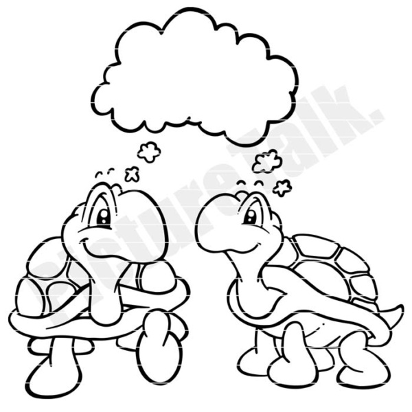 Schildkrötenpaar
